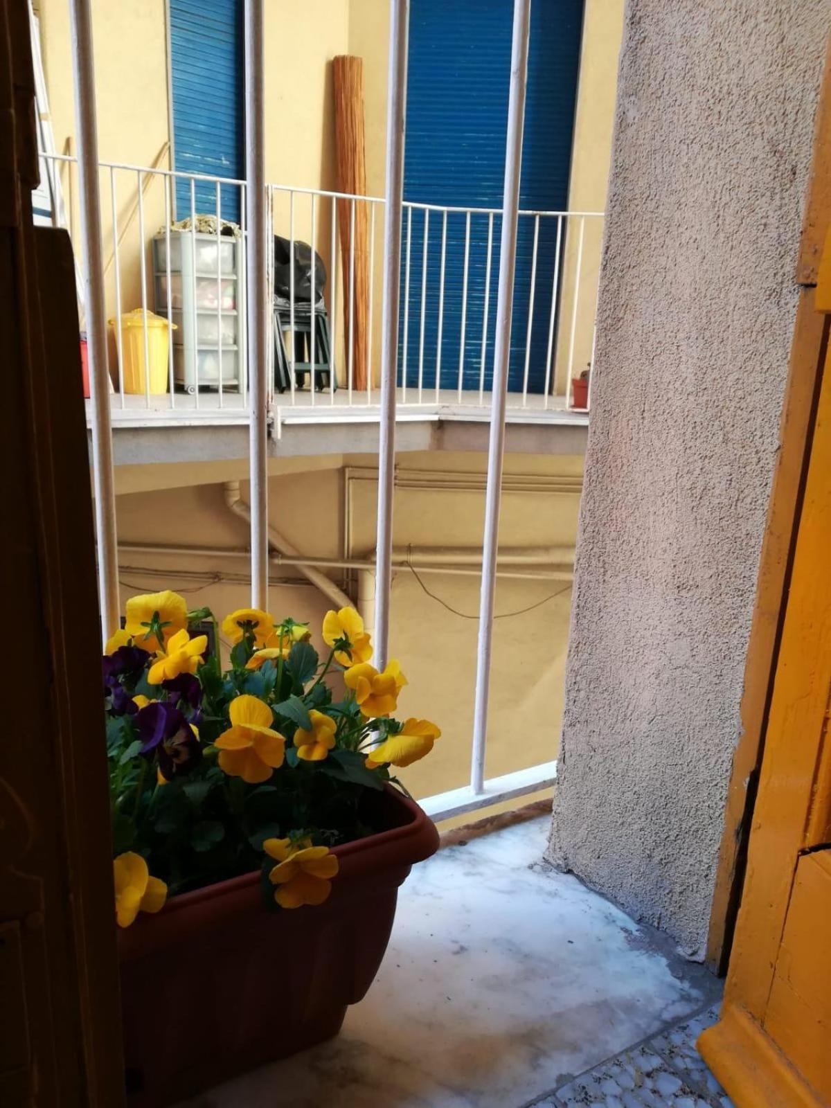 The Yellow House Katania Zewnętrze zdjęcie
